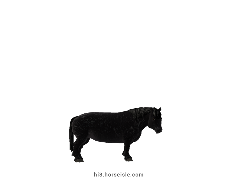 Cow-pony Highland Smoky Black Coat